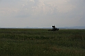 Karpaty+Krym 06.2007 296